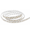 ไฟเส้น-LED-Striplight-2835-24V-14.4W-IP65-6000K